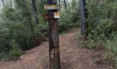 Trail Walking Flayosc - reconnaissance berne circuit jaune  - Photo 13