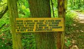 Tour Wandern Fontaine-l'Évêque - Balade en forêt Domanial de Leernes  - Photo 6