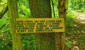 Tocht Stappen Fontaine-l'Évêque - Balade en forêt Domanial de Leernes  - Photo 6