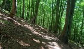 Trail Walking Saint-Julien-en-Vercors - La porte du Diable - Photo 15