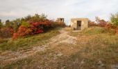 Percorso A piedi Savogna d'Isonzo - Sentiero CAI n. 75 - Photo 1