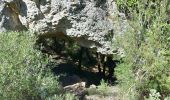 Trail Walking La Roquebrussanne - la roquebrussanne - Photo 15