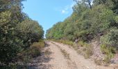 Trail Walking Taillet - notre dame del roure .  taillet . Notre dame del roure  - Photo 13