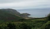 Trail Walking La Hague - 50 Nez de Jobourg baie d'Ecalgrain 11km - Photo 2