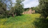 Percorso Marcia Roquebrune-sur-Argens - Les Issambres , ruines de Roqueyrol - Photo 1