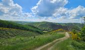 Tour Wandern Goesdorf - Goebelsmühle  - Photo 11