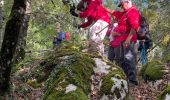 Excursión  Plan-d'Aups-Sainte-Baume - Randonnée Chantal  - Photo 14