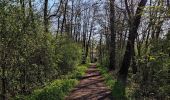 Trail Walking Bernissart - Les Marais d’Harchies  - Photo 6