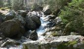 Excursión Senderismo Aywaille - Les Vallées du Ninglinspo - Photo 1