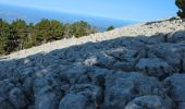 Excursión Senderismo Beaumont-du-Ventoux - Mt Serein - Cachillan - Photo 2