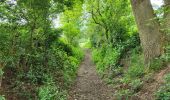 Tour Wandern Walcourt - Walcourt 230523 - Photo 1