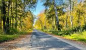 Tour Wandern Compiègne - en forêt de Compiègne_43_le Petit Octogone et vers la Faisanderie - Photo 19