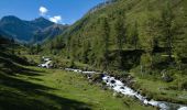 Randonnée A pied Davos - Sertig Sand - Jetzmeder Rinerhorn - Photo 6