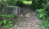 Trail Walking Le Moule - Onf bois baron 1 mai 2021 - Photo 8