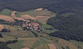 Tocht Te voet Homberg - Lochbachpfad - Photo 1