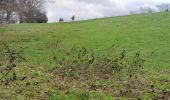 Tour Wandern Blegny - Balade ressourçante à Blegny  - Photo 6