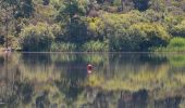 Randonnée Marche Le Cannet-des-Maures - Boucle autour du Lac des Escarcets - Photo 7