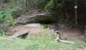 Percorso Marcia Dabo - Haselbourg et les maisons troglodytiques - Photo 1