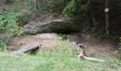 Tocht Stappen Dabo - Haselbourg et les maisons troglodytiques - Photo 1