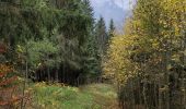 Tour Wandern Arâches-la-Frasse - La Grasse les granges, l'Artoche, la combe, les sommaires, retour par la Presse, la mouille - Photo 4