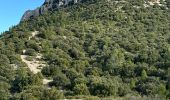Randonnée Marche Pourrières - Pourcieux :Mont Olympe et Pas du Titet - Photo 7