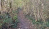 Trail Walking Walcourt - Adeps - Somzée 15km 24112019 - Photo 5