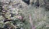 Tocht Stappen Caudebec-lès-Elbeuf - Caudebec les Elbeuf vers Saint Cyr la campagne  - Photo 1