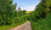 Tour Wandern Braives - De Fumal à Huccorgne par la vallée de la Mehaigne - Photo 12