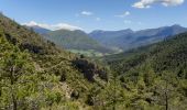 Randonnée Marche Saint-Jacques - SAINT JACQUES.  PRE DE SIROM .  ENTRE PUY , PIED MARCELLIN . Chateau plus haut , Chaudon , col de Chaudon ,  - Photo 11