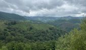 Trail Horseback riding Baztan - Elizondo - Urdax - Photo 11