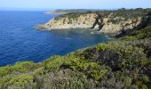 Tour Wandern Unknown - Port Cros - Pte du Cognet - Fortin de la Vigie - Ptes de Port Man et de la Galère - Fort de l'Estissac - Photo 9