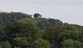 Randonnée Marche Le Frasnois - Rando des 4 lacs par le Pic de l'Aigle - Photo 13