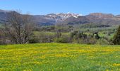 Trail Walking Chambon-sur-Lac - BOUCLE AUTOUR DE LA COUZE DE SURAINS - Photo 9