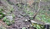 Trail On foot Cannobio - S07 Sant'Anna (Traffiume) - Pro Redond - Photo 7
