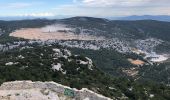 Tour Wandern Le Revest-les-Eaux - Le Mont Caume  - Photo 20