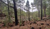 Tocht Stappen Garachico - tenerife dag 7 - Photo 13