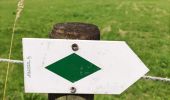Tour Wandern Incourt - Promenade du moulin  - Photo 14