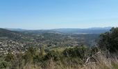 Trail Walking Seillans - 20190323 Seillans reco partielle  - Photo 6