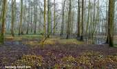 Tocht Stappen Hannuit - moxhe reco 12 24 - Photo 3