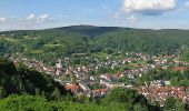 Tour Zu Fuß Bad Orb - Bad Orb Rundwanderweg 11 (Haberstalrunde) - Photo 3