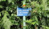 Trail Walking Ferrières - Du Bois de ville au Bois de Xhoris - Photo 8