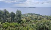 Trail Walking Le Pradet - Les forts de la Colle Noire, 16-05-2025 - Photo 4