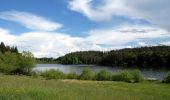 Tour Zu Fuß Velden am Wörther See - Teufelsgraben-Sternberg-Saissersee-Römerschlucht-Runde - Photo 9