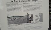 Tocht Stappen Saulges - Saulges -Grottes Margot - Moulins -  Oratoire de Saint-Ceneré - Photo 11