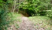 Trail Walking Menglon - Le Tour de la Grésière  - Photo 19