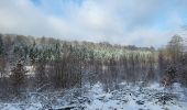 Randonnée Marche Tenneville - Laneuville aux bois 180124 - Photo 16