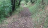 Trail Walking Mirepoix - CC_Piemont_BD_09_Mirepoix_Vals_20240620 - Photo 7