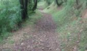 Trail Walking Mirepoix - CC_Piemont_BD_09_Mirepoix_Vals_20240620 - Photo 3