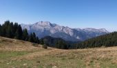 Tocht Stappen Manigod - ARAVIS: PLATEAU DE BEAUREGARD - Photo 9