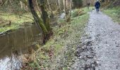 Trail Walking Houffalize - Achouffe 12 Km - Photo 13